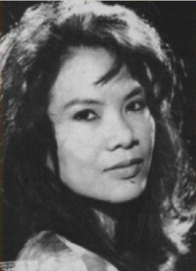 Minh Duc Hoai Trinh